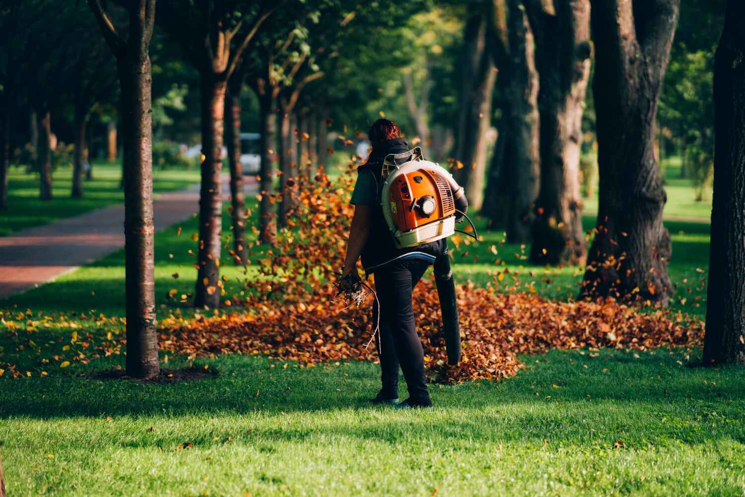 Best Professional Tree Care  in Valrico, FL